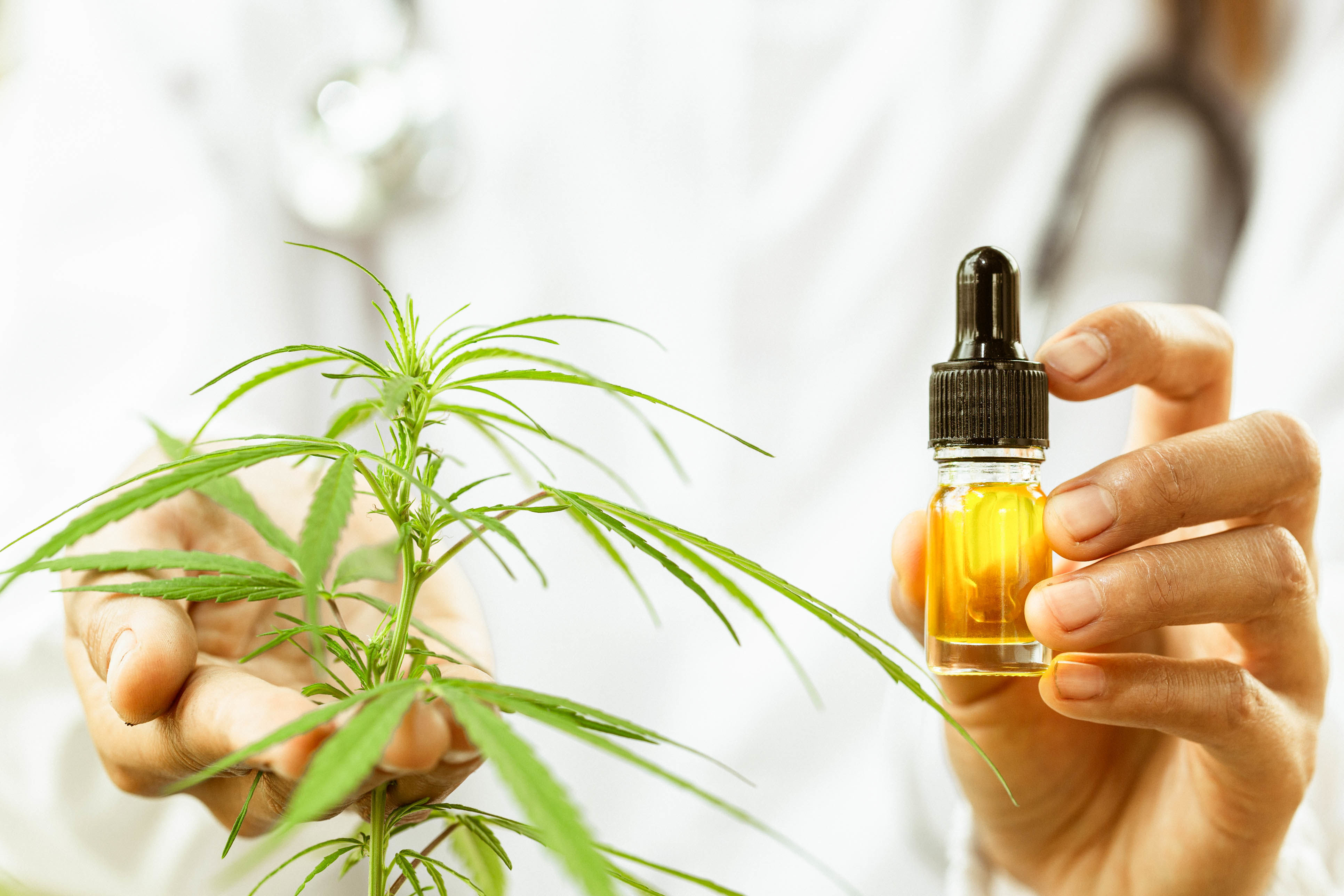 Wie wirkt CBD? Wirkung von CBD